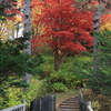 北海道旅行2　函館　見晴公園