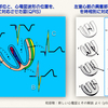 【 コラム-064：ベクトル心電図 】最初の一歩(その１)