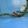 プラ舟の水質もようやく安定したか