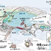 海霧が似合う汽水湖（厚岸湖）
