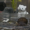 はじめてじゃあああ！