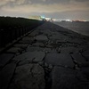 週末のアクティヴィティ