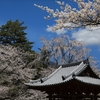 長野県 蓼科山聖光寺