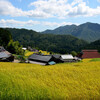 惜夏　湖西の風景その４