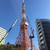 メキシコから日本へ戻って約１か月