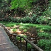 道保川を歩く 崖線の湧水をあつめて流れる小さな川