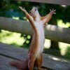人恋しさと孤独の狭間で生きている（汗）