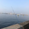 久しぶりのキス釣り☆彡横浜