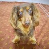 そらちゃん16歳