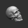 BOOTHクロネコショップにて、頭蓋骨3Dモデル『Skull』(STLファイル)の販売が開始です！