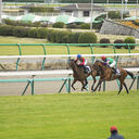 ゆもの競馬予想ブログ