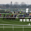 24/03/08 障害競馬入門⑱ - AQPS - 