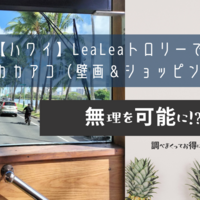 【ハワイ】LeaLeaトロリーでいくカカアコ（壁画＆ショッピング）