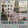 【わたし選ばれた。ドクターのおうちに。】初海外 ホームステイ アメリカ編。その1