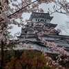 ４月の図書館　①　桜咲く