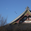 初詣　池上本門寺