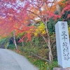 【京都の紅葉】山里・大原の紅葉が一番気に入りました〜また行きたい大原三千院