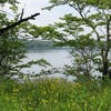 狭山湖（埼玉県所沢市）