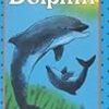 【英語－多読】絵本～ "Dolphin ※I Can Read Bookシリーズ "～洋書で楽しく学ぼ♪ 