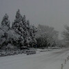 雪の京都