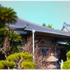 伊豆88　第33番 見海山 正定寺 ～天井絵96通りの「寿」が凄い～