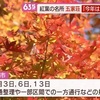 紅葉シーズン　名所の五家荘も色づき始め