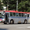 新潟交通 / 新潟22か 1440 （G1440-N）