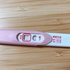 【妊娠Diary】4週目★いつもと違う症状、フライング検査・・