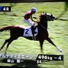 ランキン馬主への道？ その４６１　ルナディミエーレ、変わり身を見せて一気に勝ってしまえ！