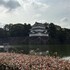 城公園の朝ラン復活（拠点1）