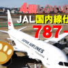 【JALでは意外とレア】JALの国内線仕様787とは