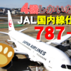 【JALではレア】JALの国内線仕様787とは