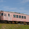 ウソ電- いすみ鉄道キハ20 焼きタラコ仕様