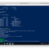 Windows Server 2019でWSLをつかってみた