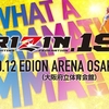 【試合結果】10月12日（土）開催「RIZIN（ライジン）.19」｜「朝倉海vs.佐々木憂流迦」、「白鳥大珠vs.大雅」、ライト級GP1回戦などの結果は？