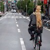「父の日」無残、、、(>_<)