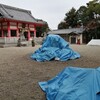 幸先詣（さいさきもうで：初詣を前倒しし年末に参拝すること）は近所のありふれた神社で済ませた