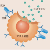 【重要】アレルギー体質も腸内環境改善がポイントになります。