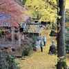 康平寺 イチョウのじゅうたん見頃＆仏像公開