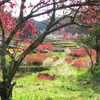 「天国に一番近い里川角（かいずみ）」の花桃を愛でに行く ⑨