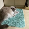寒い日もふくちゃんは元気いっぱい