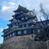 漆黒の城郭、烏城の輝き —— 岡山城の歴史と散策完全ガイド