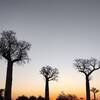 世界中でここにしかない絶景が見たくてマダガスカルへ