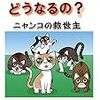 猫ってなにを考えているの？知りたくありませんか？