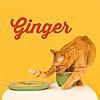 プレイリストに入れたい曲：「Ginger」 by TOMOO A Song to Add to My Playlist: 「Ginger」 by TOMOO