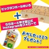 ららぽーと甲子園｜2026年7月25日（土）26日（日）迷路ゴール＆Instagramフォローでお菓子をゲット『ダンボール迷路』が開催されます