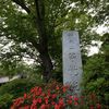 神木山 等覚院