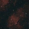 IC 1318B バタフライ星雲
