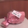 昨日は学校事故から2年目の記念日でした Friendshipは船と港 藤田くらら 小6でtoeic980点までの軌跡 昨日は学校事故から2年目の記念日でした Friendshipは船と港 藤田くらら 小6でtoeic980点までの軌跡