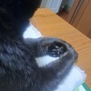 心には愛を
